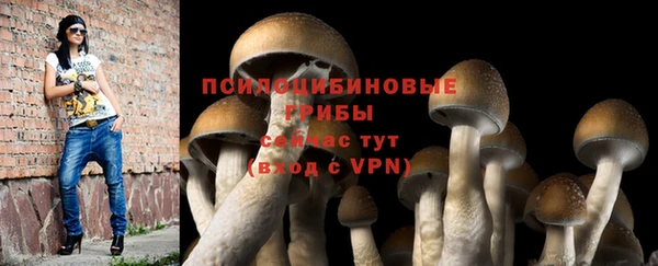 mix Протвино