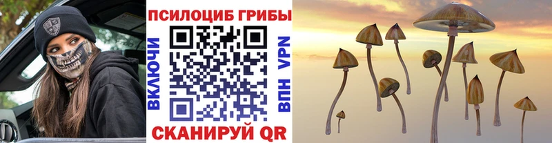 Псилоцибиновые грибы мухоморы  blacksprut вход  Суровикино  наркошоп 